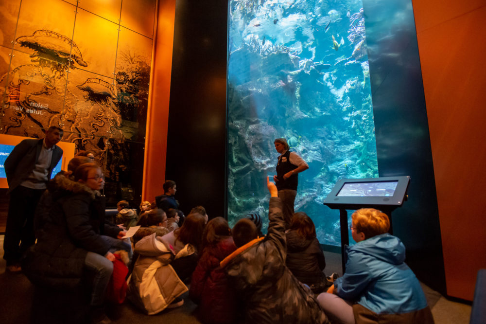 La Cité de la Mer le salon Jules Verne et l'aquarium abyssal