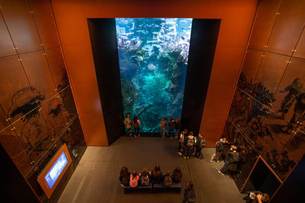 L'Aquarium Abyssal : une faille de 10,70m de profondeur au coeur du salon Jules Verne